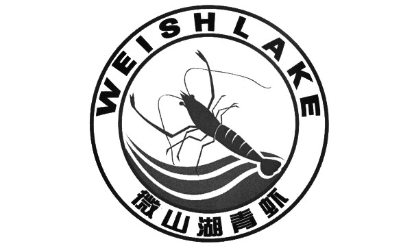 微山湖青虾
